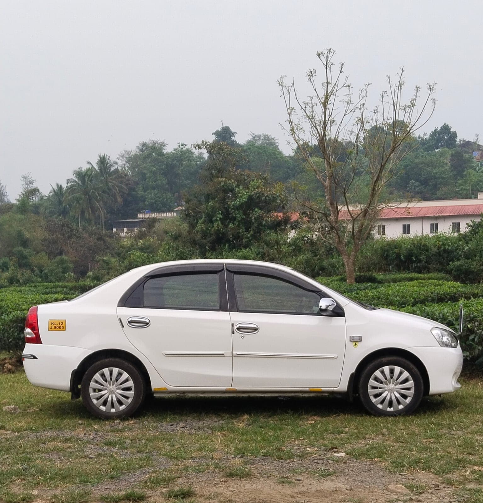 Driver with guests at a viewpoint