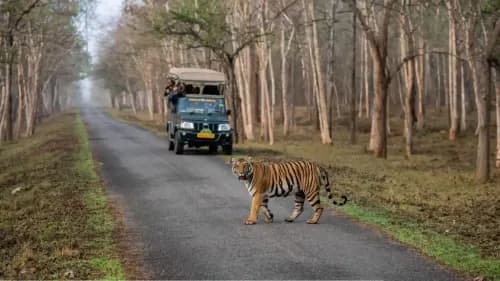 Muthanga Wildlife Sanctuary