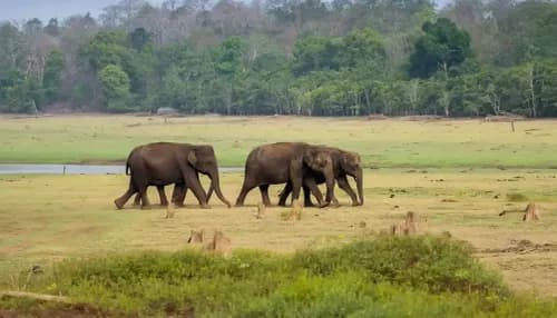 Kabini Wildlife Sanctuary