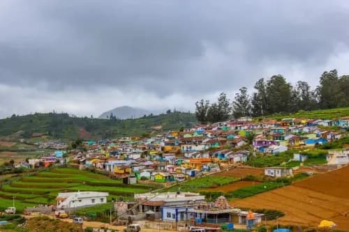 Wayanad to Ooty taxi